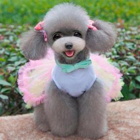 img 2 attached to Irresistible Ollypet Cute Tutu Dresses: Adorable Cupcake Apparel for Small Dogs, Cats & Puppies