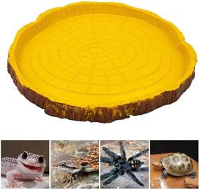 img 2 attached to MINYULUA Reptile Food Water Bowl: Resin Rock Dish for Tortoise, Turtle, Gecko, Snake, Lizard, Ball Python - Premium Feeder & Water Tray