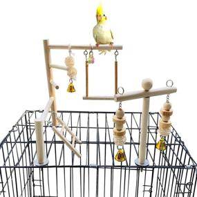img 4 attached to 🦜 PINVNBY Bird Playground: Ultimate Fun & Fitness for Small Birds – Parrot Play Gym, Perches, Ladders, Swing Toy & More!