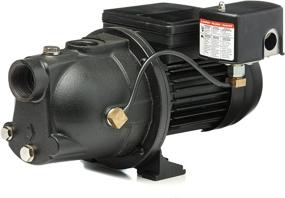 img 3 attached to 🔴 Red Lion PWJET50 0.5 HP Cast Iron Shallow Well Jet Pump - Wells up to 25 Feet - Black (97080501)