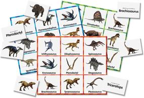 img 4 attached to Discover the Exciting World of Dinosaurs with Learning Journey Match Dinosaurs Winning!