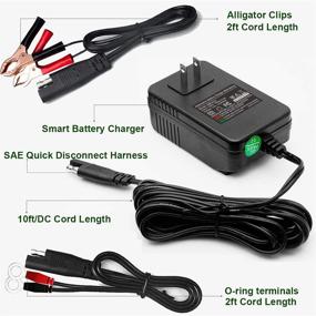 img 1 attached to Mroinge 12V 2A Smart Battery Maintainer for Lead Acid & Lithium(LiFePO4) Batteries – Ideal for Cars, Motorcycles, Lawn Mowers, Boats, ATVs, SLAs, AGMs, Gel Cells, and More