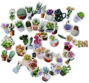 img 4 attached to 🌵 Miayon 50PCS Cute Cactus and Succulent Plants Stickers: Perfect for Scrapbooks, Albums, Planners, and Laptops!