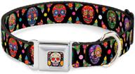 buckle-down colorful calaveras dog collar with seatbelt buckle: adjustable sizes for small, medium & large dogs logo