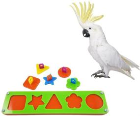 img 4 attached to 🧩 Bird Intelligence Training Toy: Puzzle Building Block for Parrots, Macaws, African Greys, Budgies, Parakeets, Cockatiels, Conures, Amazons - Cage Toy