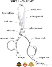 img 2 attached to ✂️ Moontay 6.0" Hair Cutting Shears: Professional Barber Stylist Scissors