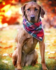 img 3 attached to 🐶 Soft Flannel Dog Bandana in Tartan Plaid Checkered Print - Perfect for Large, Medium, or Small Dogs. Enhance Your Pet's Style with this Beautiful Dog Accessory.