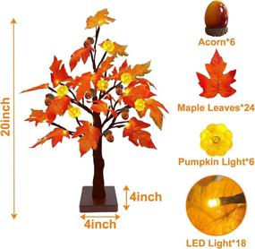 img 3 attached to Увлекательное светящееся дерево с красивыми листьями TURNMEON для осеннего декора: 24 LED с таймером, работает от батарейки, предназначено для стола. Подходит для праздничного декора на День Благодарения и во время осенних сборов урожая. Создает теплую белую подсветку, подходит для использования как внутри помещения, так и на улице!