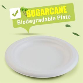 img 3 attached to 🌍 Green Earth 6-Inch Compostable Plates, 125-Count, Natural Bagasse (Sugarcane Fiber), Everyday Tableware - Biodegradable, Disposable, Round Shape - Microwave-Safe, Gluten-Free, Eco-Friendly