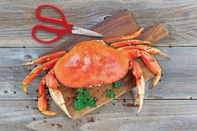 img 1 attached to 🦀 Крабовые ножницы Maine Man Crab Seafood: Превосходные японские лезвия из нержавеющей стали для точного реза размером 6,25х3,25 дюйма