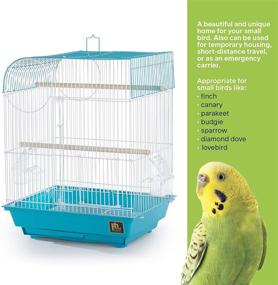 img 1 attached to Prevue Pet Products South Beach Teal Bird Cage: Flat Top Design (SP50061)