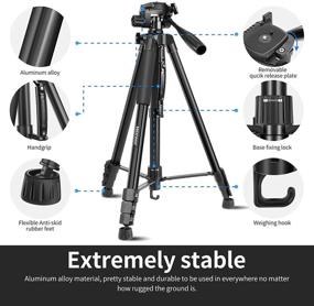 img 2 attached to 📷 Neewer Camera Tripod: Versatile 2-in-1 Aluminum Alloy Tripod Monopod with 72.8'' Max Height, 3-Way Swivel Pan Head, Phone Clip, Wireless Selfie Remote, and Carrying Bag - Ideal for DSLR Cameras and DV Video Camcorders