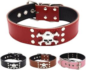 img 1 attached to 🐶 Dogs Kingdom Genuine Leather Padded Dog Collar 20"-24" with Cool Skull Design for Small, Medium, and Large Breeds like Pitbulls, Boxers, and Bulldogs