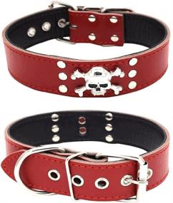 img 2 attached to 🐶 Dogs Kingdom Genuine Leather Padded Dog Collar 20"-24" with Cool Skull Design for Small, Medium, and Large Breeds like Pitbulls, Boxers, and Bulldogs