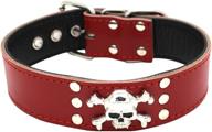 🐶 dogs kingdom genuine leather padded dog collar 20"-24" with cool skull design for small, medium, and large breeds like pitbulls, boxers, and bulldogs logo