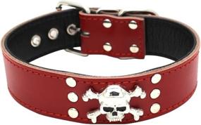 img 3 attached to 🐶 Dogs Kingdom Genuine Leather Padded Dog Collar 20"-24" with Cool Skull Design for Small, Medium, and Large Breeds like Pitbulls, Boxers, and Bulldogs