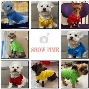 img 2 attached to 🐾 DOGGYZSTYLE 4 Pack Solid Dog Polo T-shirts: Stylish Pet Puppy Outfit for Fashionable Canines!