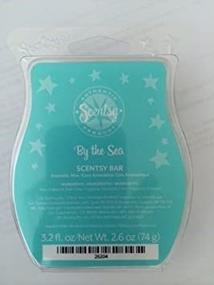 img 2 attached to Sea Breeze Scentsy Scent Bar