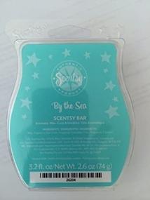 img 1 attached to Sea Breeze Scentsy Scent Bar