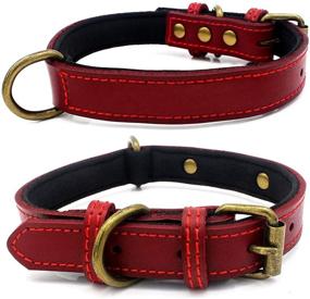 img 3 attached to Leather Padded Collar Bronze Adjustable