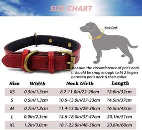img 1 attached to Leather Padded Collar Bronze Adjustable