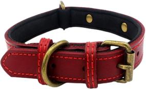 img 4 attached to Leather Padded Collar Bronze Adjustable