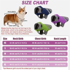 img 3 attached to 🐶 Reflective Waterproof Winter Dog Coat with Detachable Fleece Lining - PETLOFT Dog Jacket for Windproof Warmth in the Outdoors