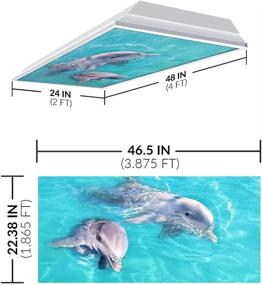 img 3 attached to 🌊 OCTO LIGHTS Fluorescent Light Covers for Classroom Office - Ocean 002: Relieve Eyestrain and Headaches, Enhance Office & Classroom Décor