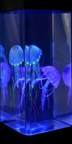 img 1 attached to Световые эффекты, меняющие цвет медузы