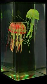 img 2 attached to Световые эффекты, меняющие цвет медузы