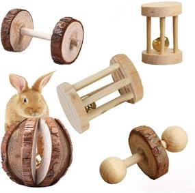 img 4 attached to 🐹 5-Piece Hamster Chew Toys Set - Vankcp Natural Wooden Toys for Pets, Teeth Care Molar Balls for Small Animals, Cats, Rabbits, Rats, Guinea Pigs (5P)