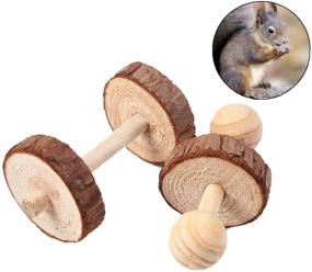img 2 attached to 🐹 5-Piece Hamster Chew Toys Set - Vankcp Natural Wooden Toys for Pets, Teeth Care Molar Balls for Small Animals, Cats, Rabbits, Rats, Guinea Pigs (5P)