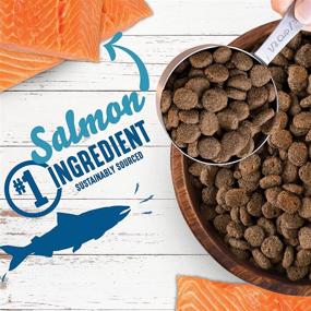 img 2 attached to 🐟 Earthborn Holistic Unrefined Smoked Salmon & Ancient Grains Dry Dog Food with Superfoods