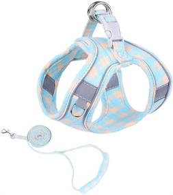 img 4 attached to 🐶 PATGOAL Puppy and Small Dog Harness and Leash Set - Escape Proof Walking Harness, No Pull Vest with Reflective Strap, Soft Padded Cat and Puppy Harness