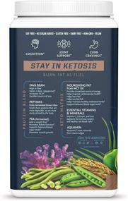 img 2 attached to 🌞 Powerful Sunwarrior Clean Keto Vegan Protein Powder with MCT Oil: Essential Vitamins & Plant-Based Protein Peptides - Chocolate, 720 g