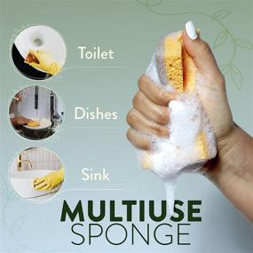 img 1 attached to 🌿 Clean Natural Sponge 12 Pack - Biodegradable, Eco Friendly Sponges for Dishes - Compostable Cellulose and Coconut Scrubber Sponge- Non Scratch, Odor Free