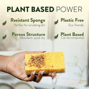 img 2 attached to 🌿 Clean Natural Sponge 12 Pack - Biodegradable, Eco Friendly Sponges for Dishes - Compostable Cellulose and Coconut Scrubber Sponge- Non Scratch, Odor Free