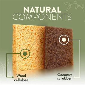 img 3 attached to 🌿 Clean Natural Sponge 12 Pack - Biodegradable, Eco Friendly Sponges for Dishes - Compostable Cellulose and Coconut Scrubber Sponge- Non Scratch, Odor Free