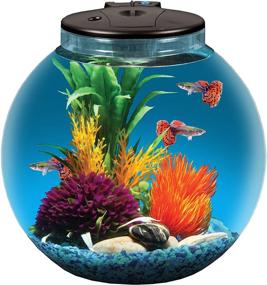 img 4 attached to Koller Products AquaView 3 Gallon Aquarium