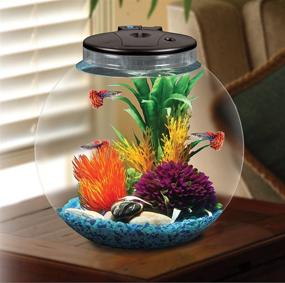 img 2 attached to Koller Products AquaView 3 Gallon Aquarium