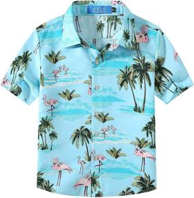 img 4 attached to SSLR Youth Big Boys Hawaiian Short Sleeve Button Down Casual Shirt