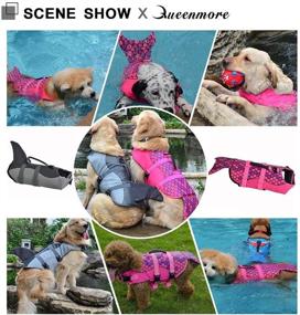 img 3 attached to 🐶 Queenmore Dog Life Jacket - Ripstop Dog Safety Vest with Adjustable Preserver | High Buoyancy & Durable Rescue Handle for Small, Medium, Large Dogs