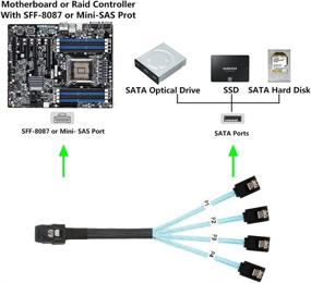 img 3 attached to J&D Internal Mini SAS 36 Pin SFF-8087 to 4 SATA 7 Pin Forward Breakout Cable - High-Speed Data Transfer, 1.6 Feet Length