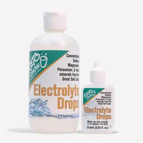 img 4 attached to 💧 Keto Chow Electrolyte Drops - Sodium, Magnesium, Potassium & Trace Minerals for Optimal Electrolyte Balance. Ideal for Keto Diet and Intermittent Fasting. 250 ml Refill with Bonus Empty Flask