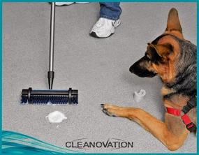 img 3 attached to 🧹 Revive Your Rugs with CLEANOVATION Rug Renovator/Carpet Cleaning Brush