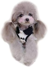 img 4 attached to KILLUA Dresses Suitable Important Occasions Girl Dogs and Apparel & Accessories