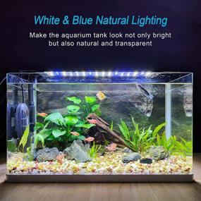 img 1 attached to Doomiyaa Fish Tank Light, Aquarium Light with 96 High Brightness White and Blue LEDs, 2 Lighting Modes, Extendable Brackets, Suitable for 34-46 Inches Tank – Ideal for Freshwater Aquatic Plants Lighting