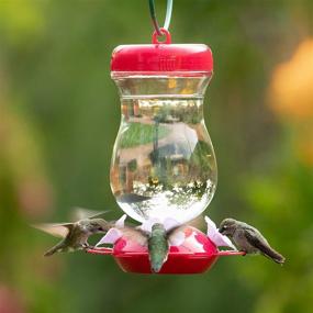 img 2 attached to Perky-Pet Pink 132TFP Top-Fill Glass Hummingbird Feeder – 24 oz: Vibrant & Convenient Solution for Attracting Hummingbirds