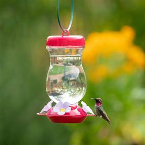 img 3 attached to Perky-Pet Pink 132TFP Top-Fill Glass Hummingbird Feeder – 24 oz: Vibrant & Convenient Solution for Attracting Hummingbirds