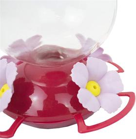 img 1 attached to Perky-Pet Pink 132TFP Top-Fill Glass Hummingbird Feeder – 24 oz: Vibrant & Convenient Solution for Attracting Hummingbirds
